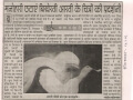 art-r-dainik-bhaskar-26