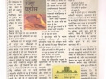 book-review-naidunia-30